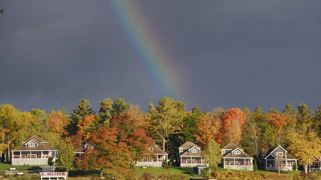 Fall Scene