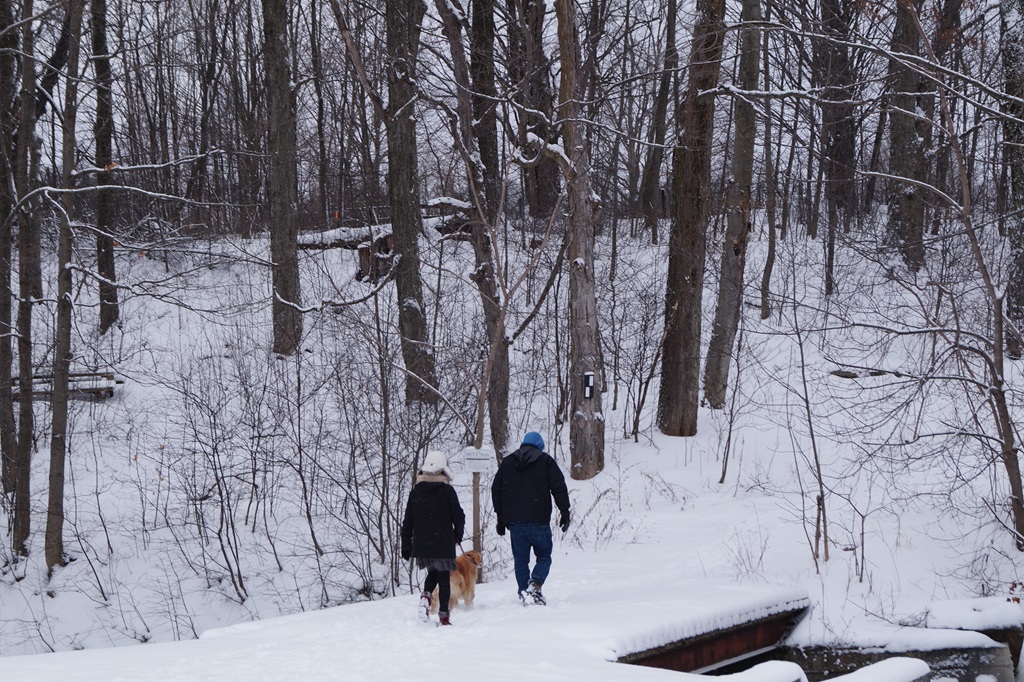 Walking in Snow- Winter Activities