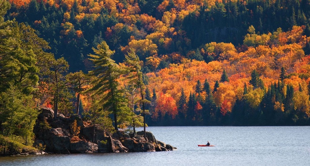 Algonquin Park’s Hwy 60 Corridor