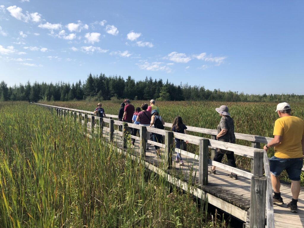 Mer Bleue Bog Boardwalk