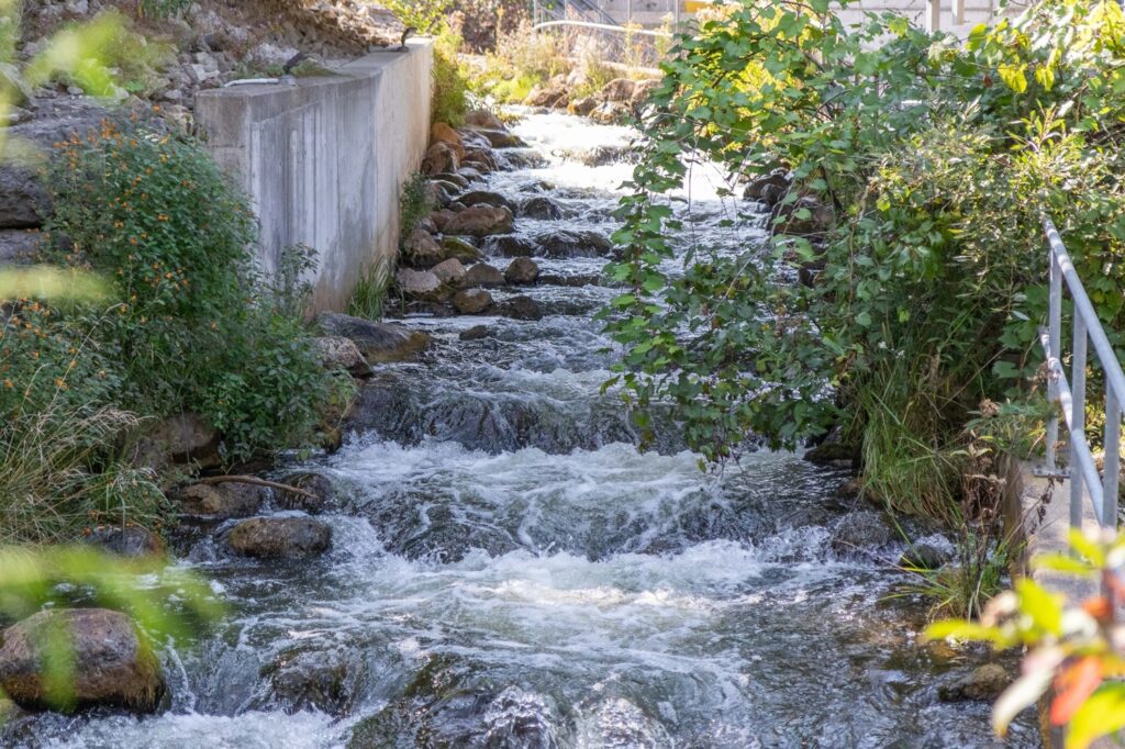 Thornbury Fishway