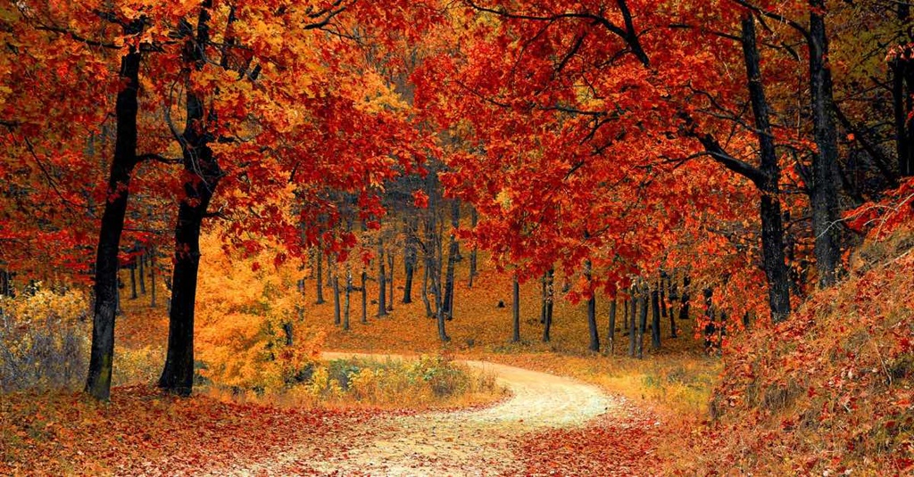 Beaver Valley - Autumn Routes 