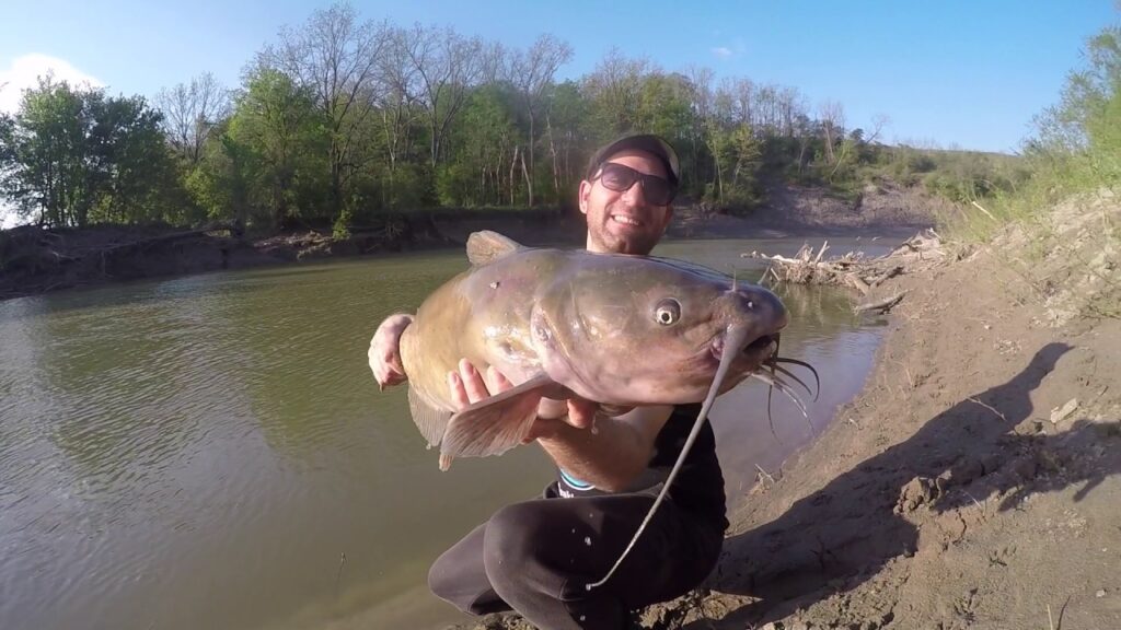 Catfish Fishing on the Thames River