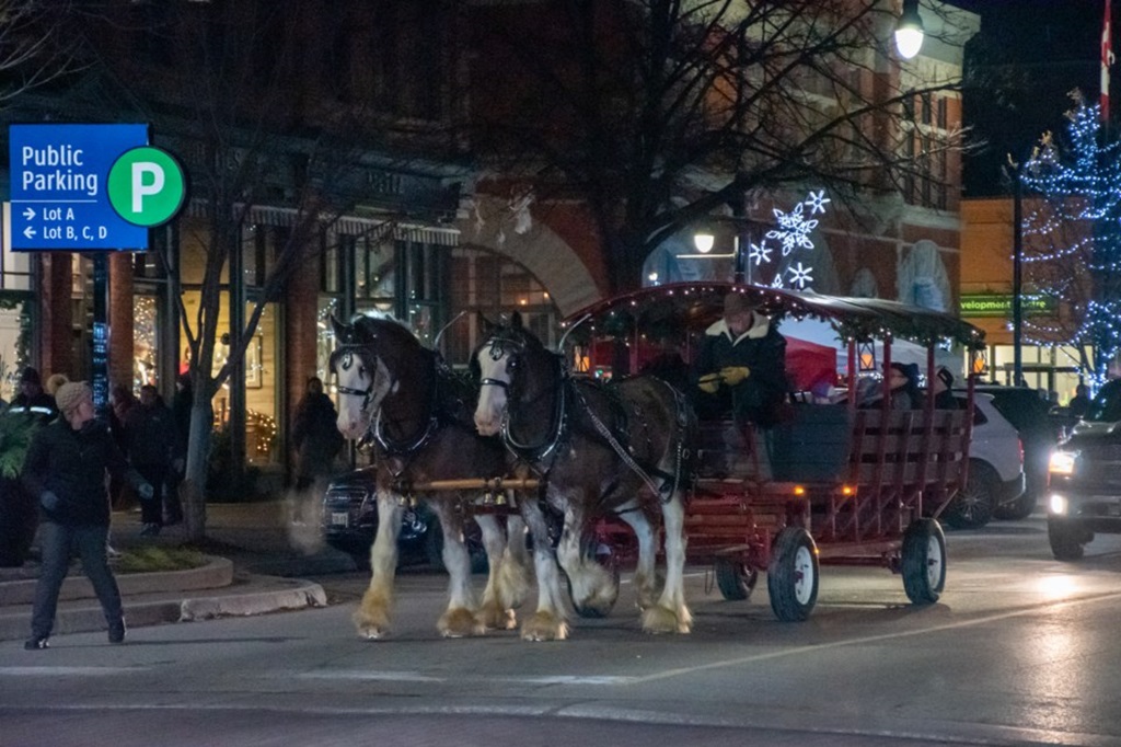 Collingwood’s Christmas Market