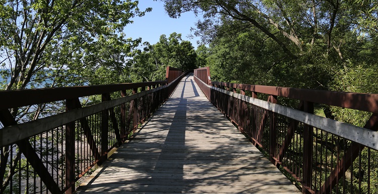 Pickering Summer of Sizzle - Petticoat Creek Conservation Area