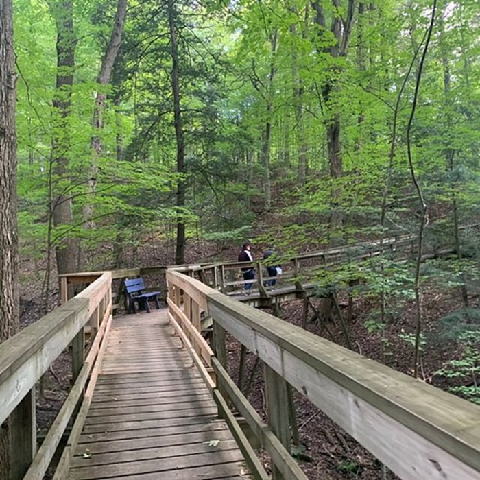 Vaughan Nature Trails - Vaughan Spring and Summer