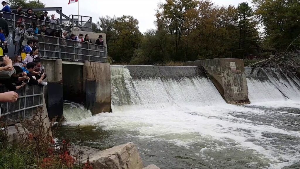 Ganaraska River’s Corbett’s Dam
