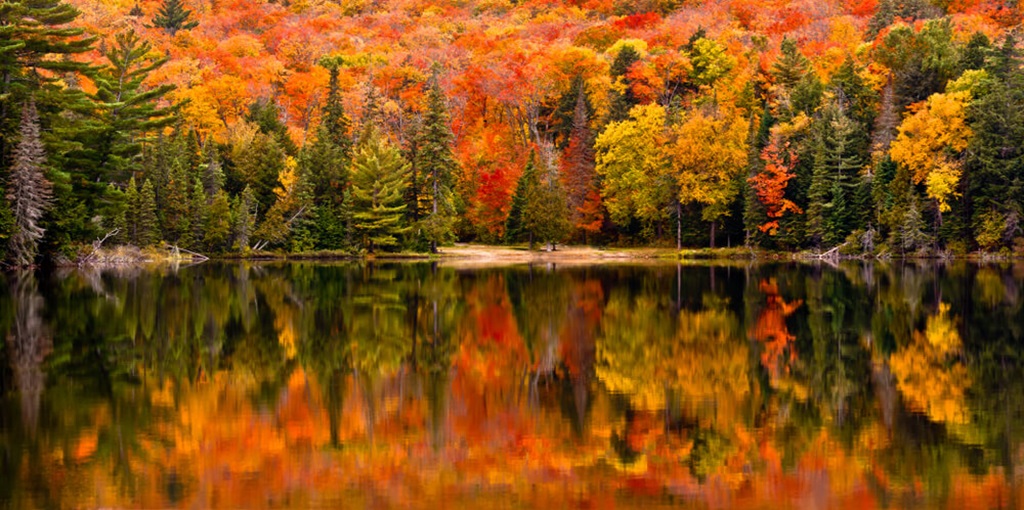 Haliburton Highlands