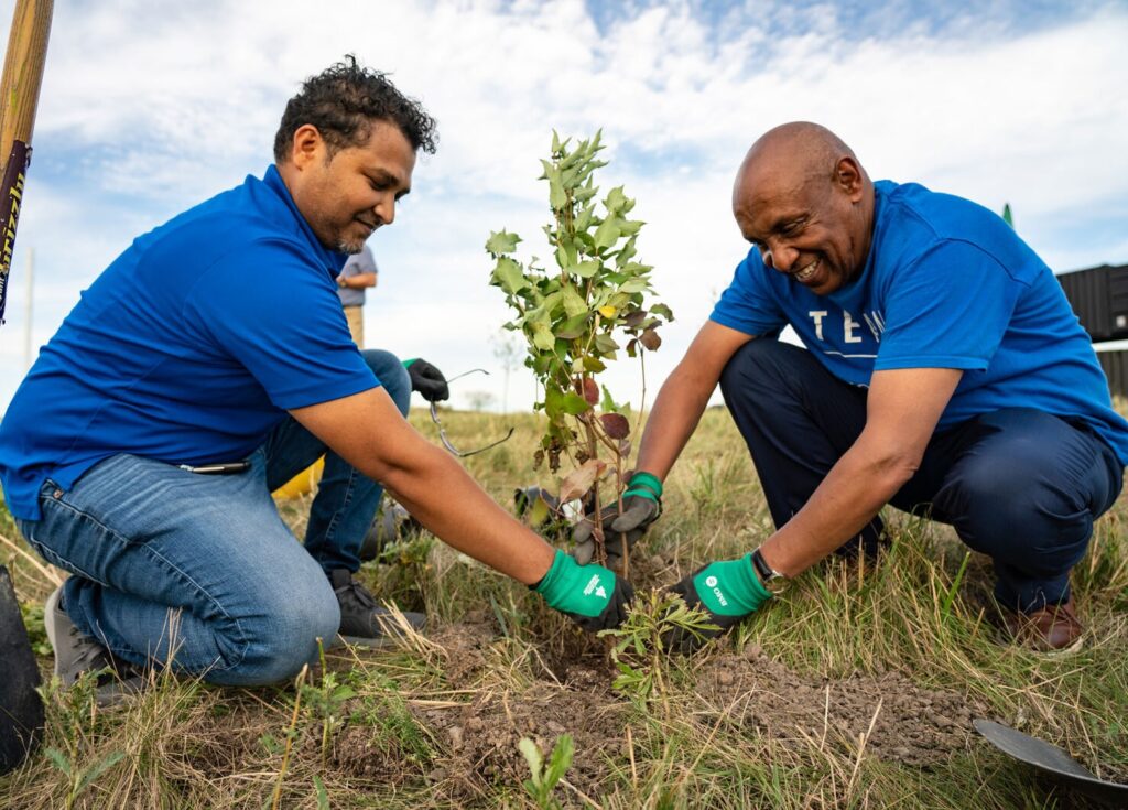 Tree Planting
