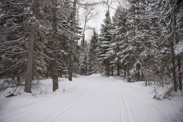 Winter Fun in North Bay