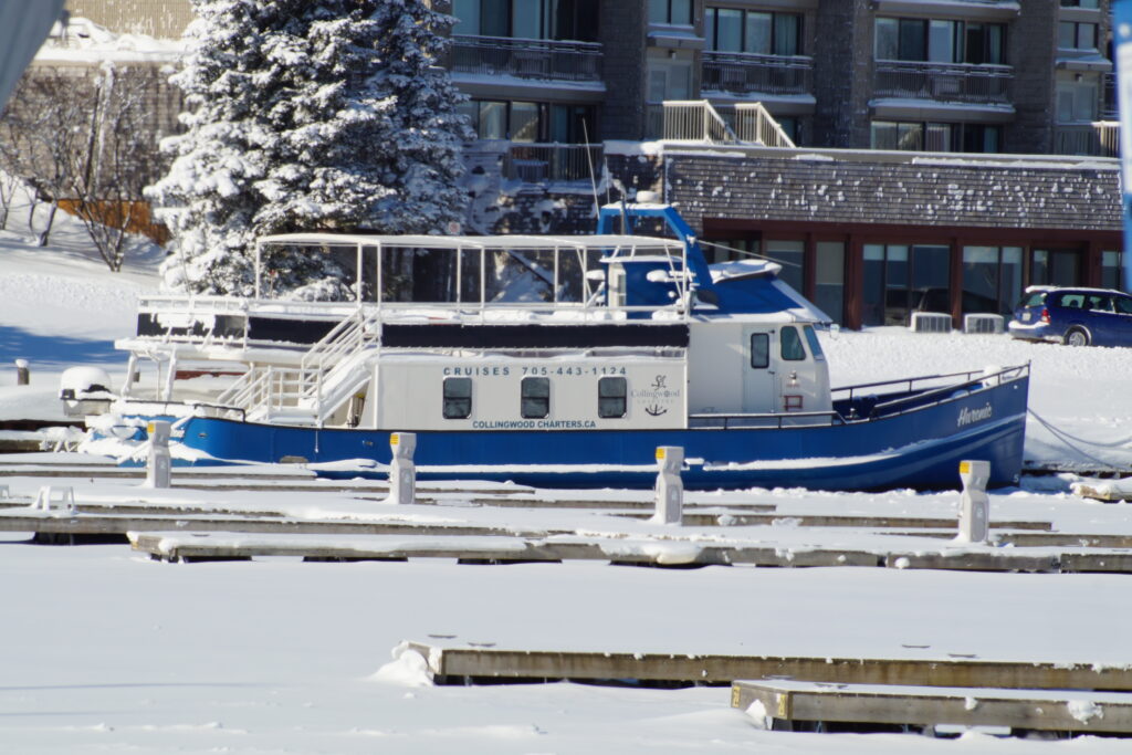 Take a Winter Cruise?