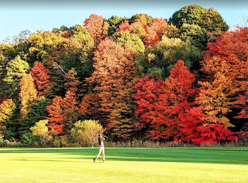 YDH Golf Courses in Fall - Autumn in YDH