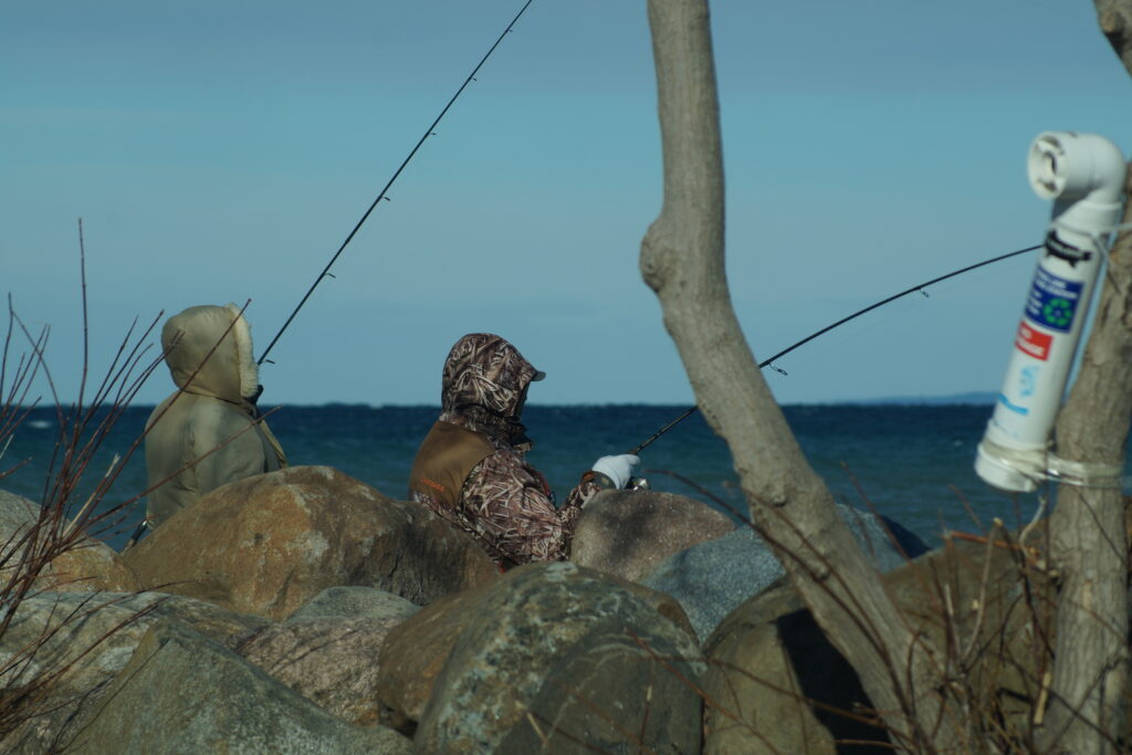 Catch Anything? (A Cold!)