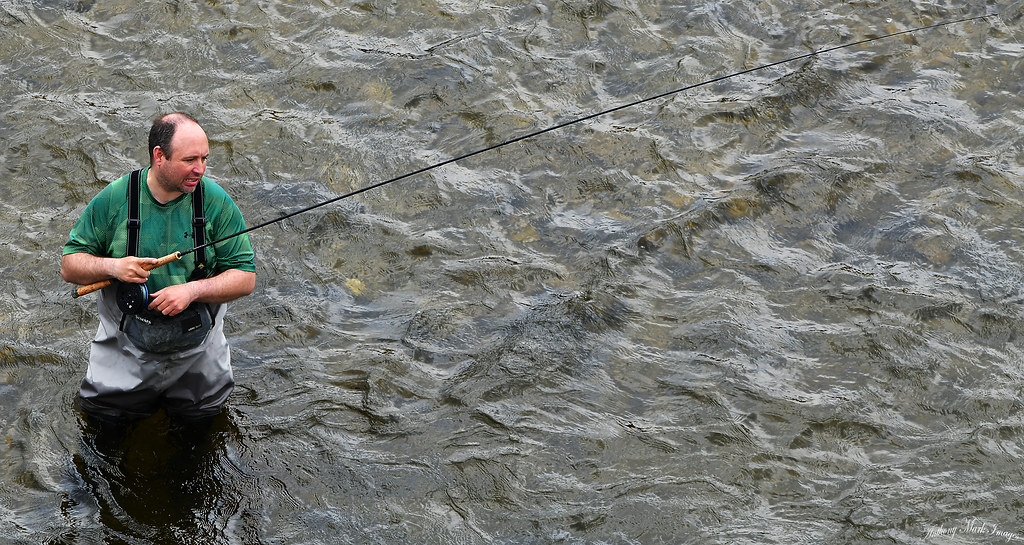 Fishing for steelheads in the Maitland River