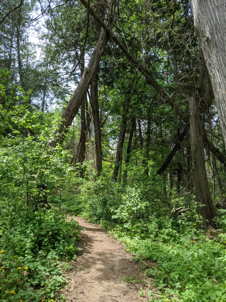 Markham Parks and Trails