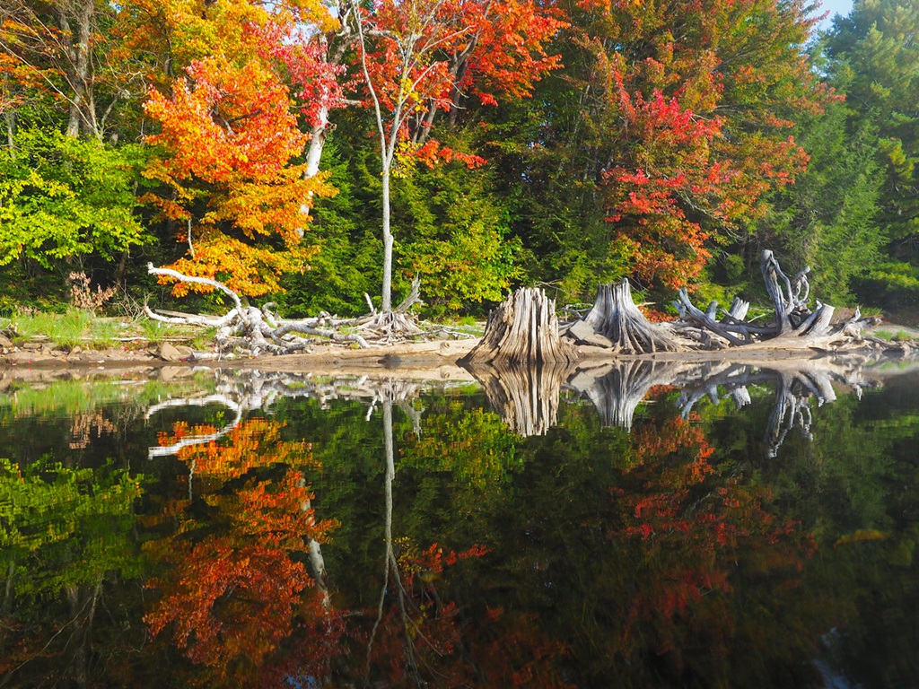 Kennisis Lake