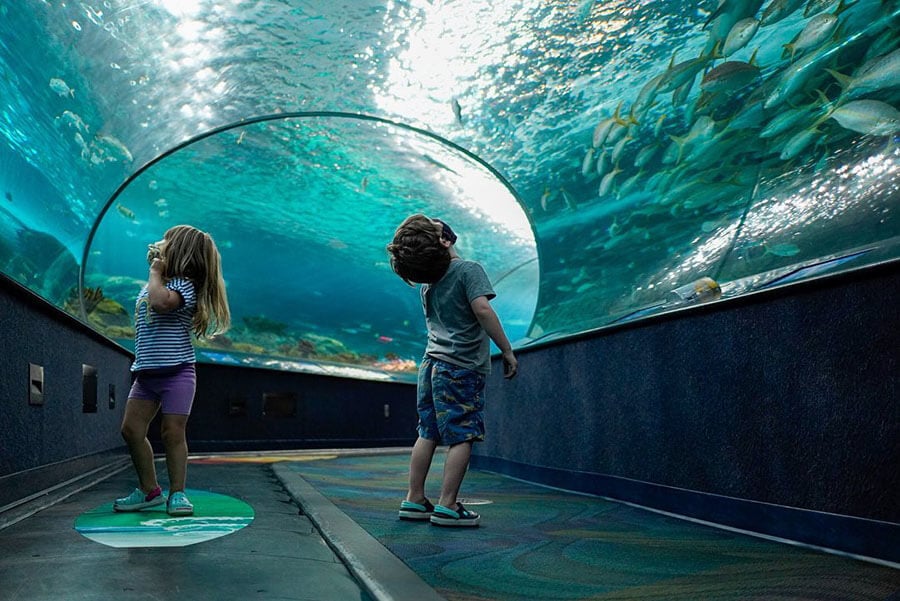 Ripley's Aquarium in Toronto