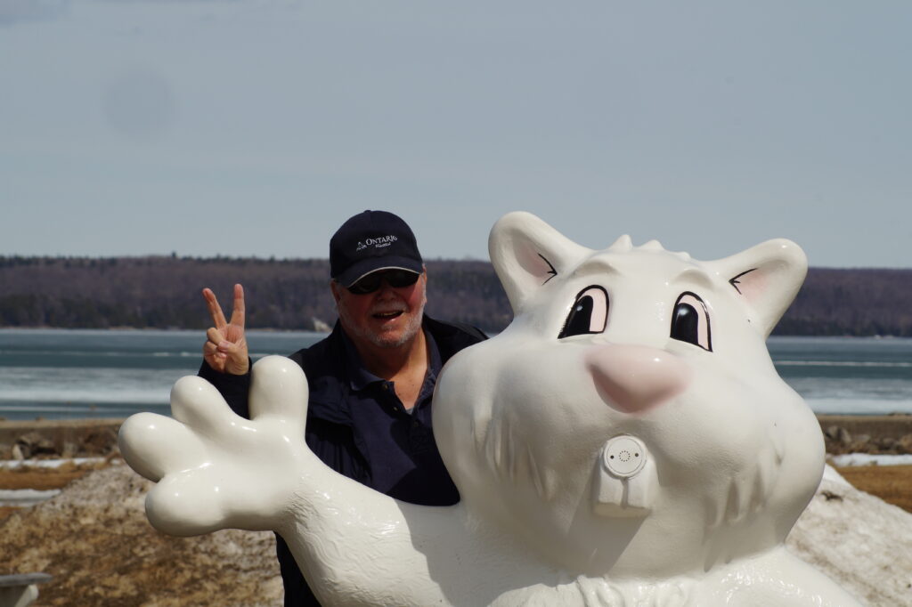 What does Wiarton Willie say?