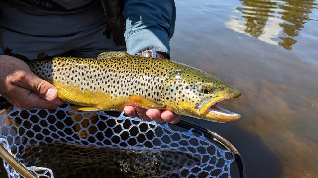 Fishing on Grand River