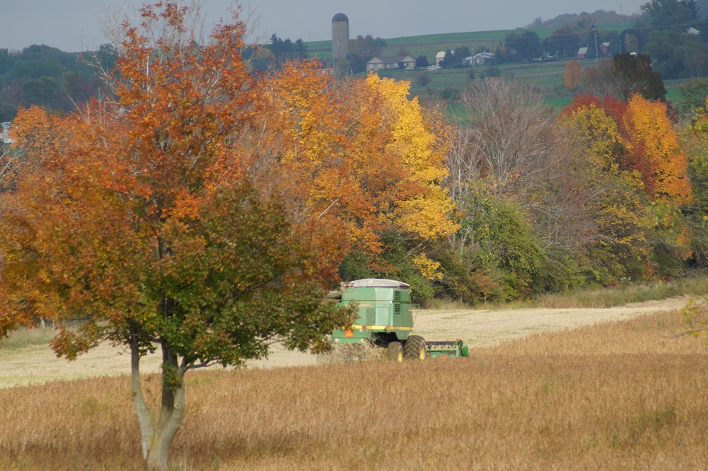 Farming in the Fall