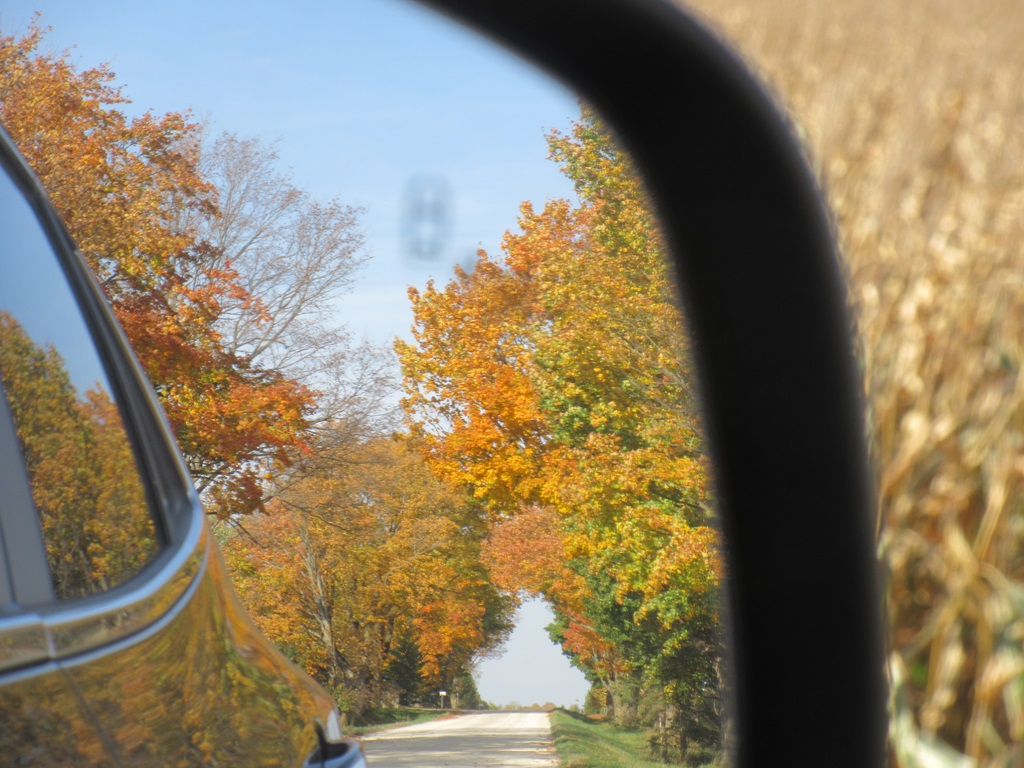 Looking Back - Autumn Routes 