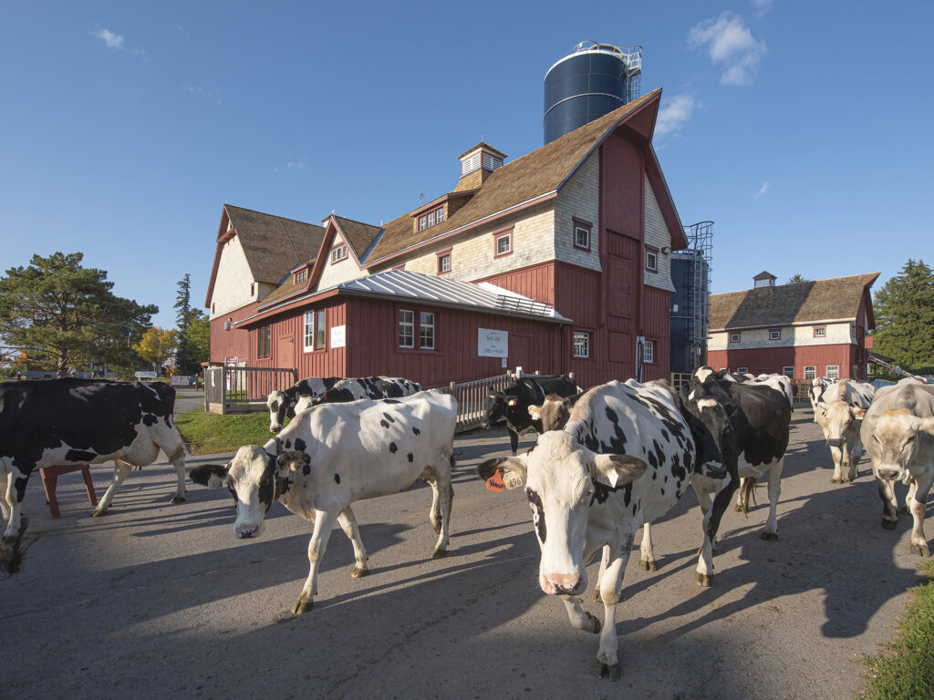 Canada Agriculture and Food Museum (Central Experimental Farm, Ottawa