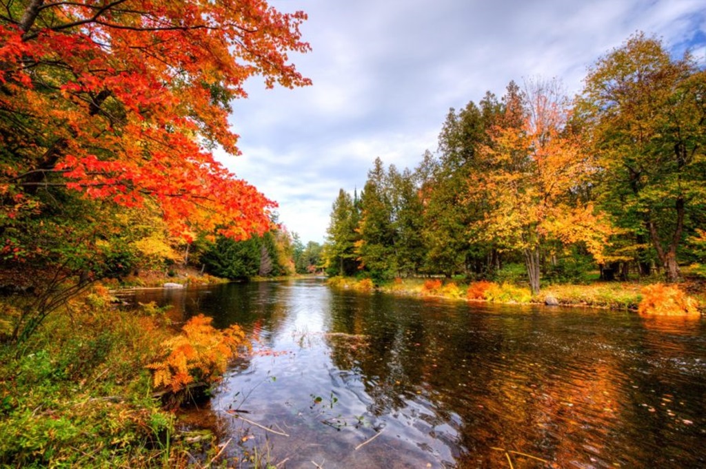 Off Road - Autumn Routes 