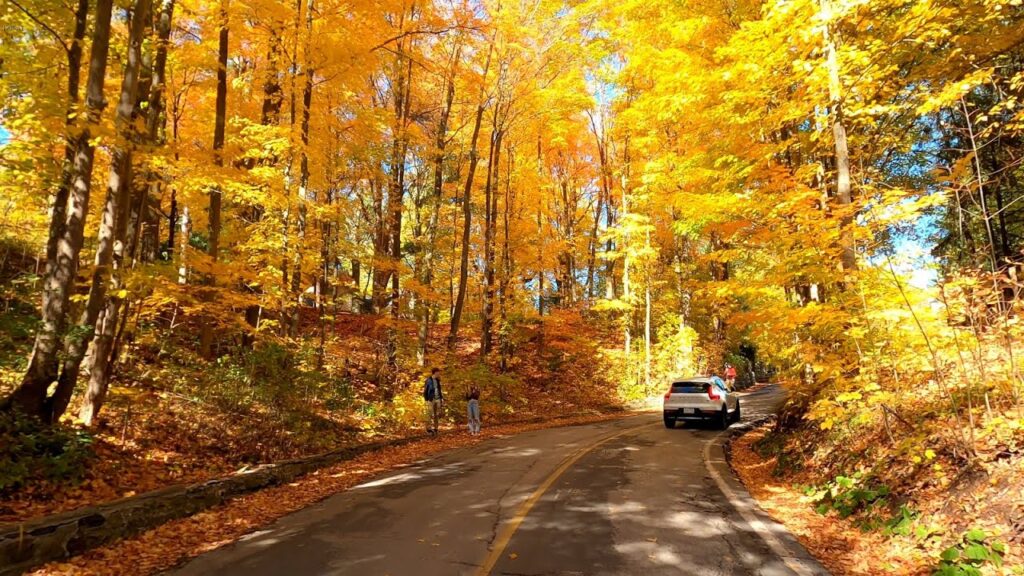 Forks of the Credit in Fall - Autumn in YDH