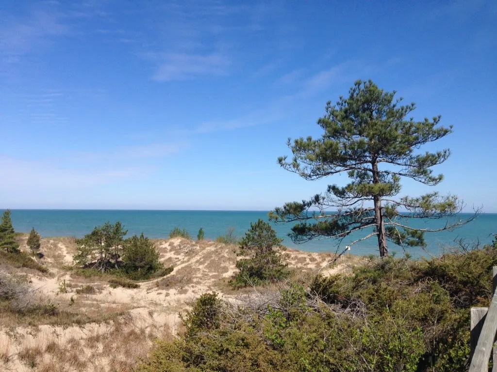 Pinery Provincial Park - Ontario’s West Coast