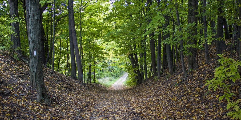 Trail Hiking - Summer Activities in Ontario