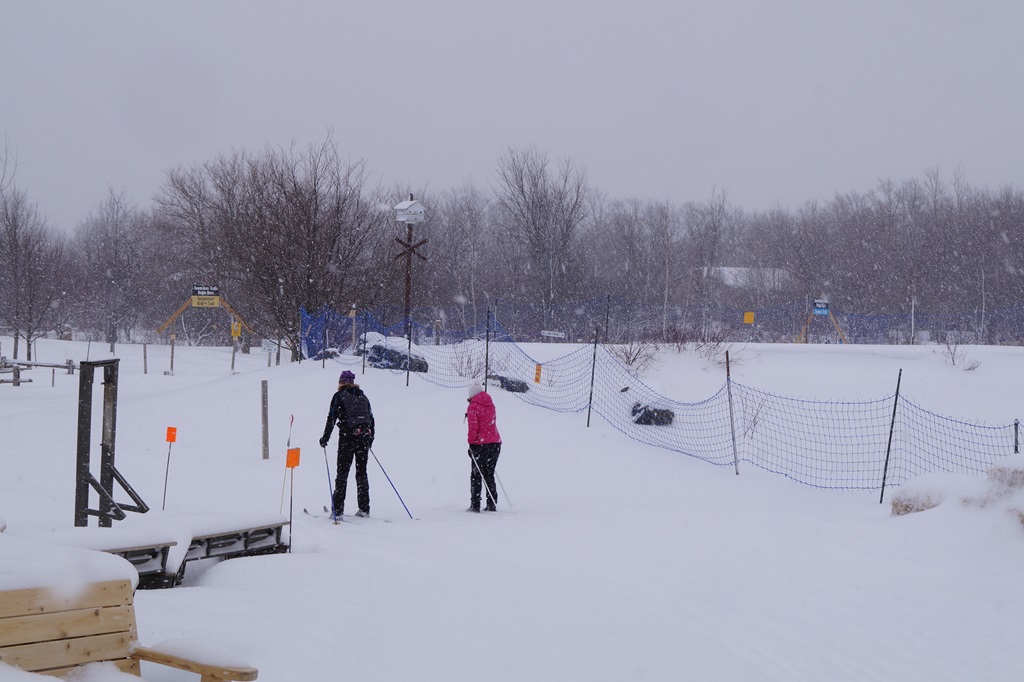 Cross-Country Skiing