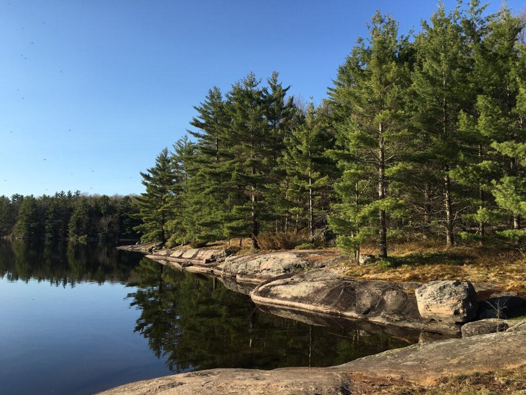 Hardy Lake Provincial Park - Summer Life in Muskoka