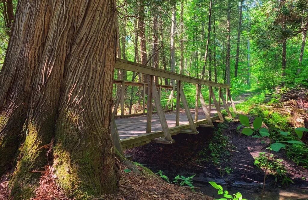 Springwater Provincial Park - Ontario Parks and Trails 