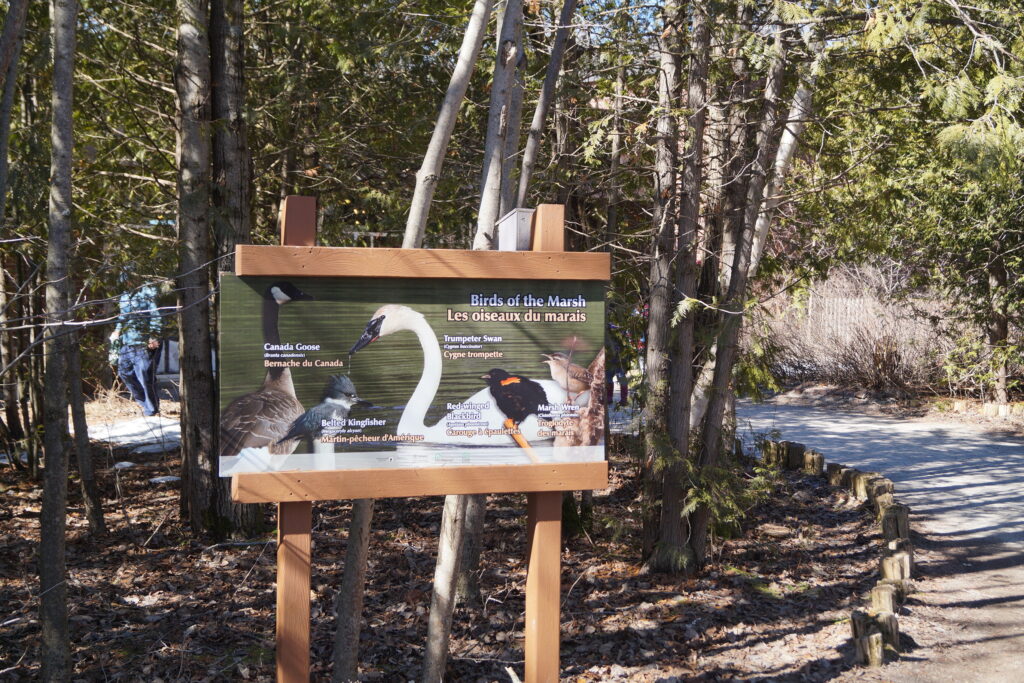 Wye March Wildlife Centre - Summer Activities in Ontario