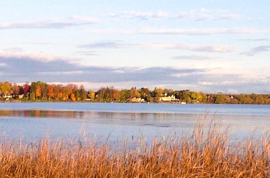 Lake Scugog