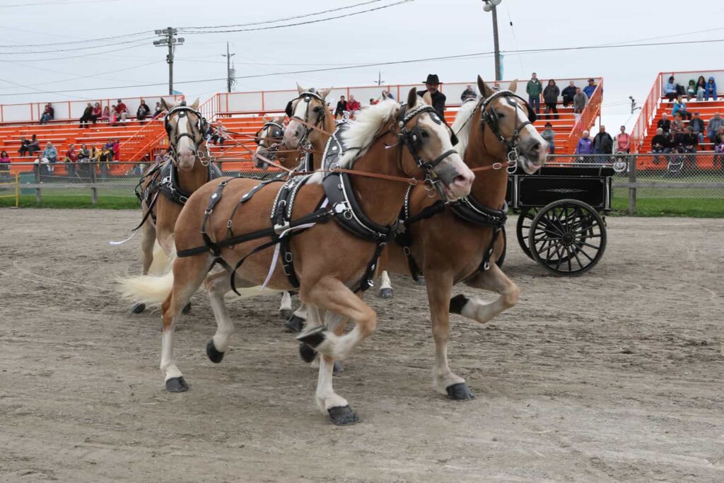 Markham Fair