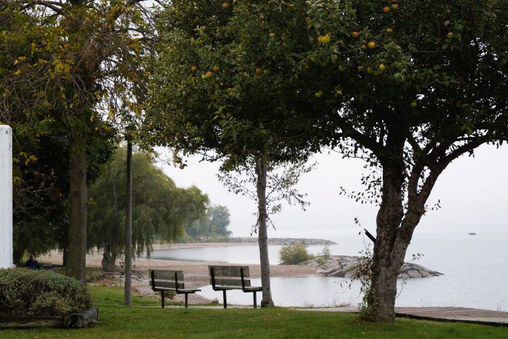 Lions Harbour Park