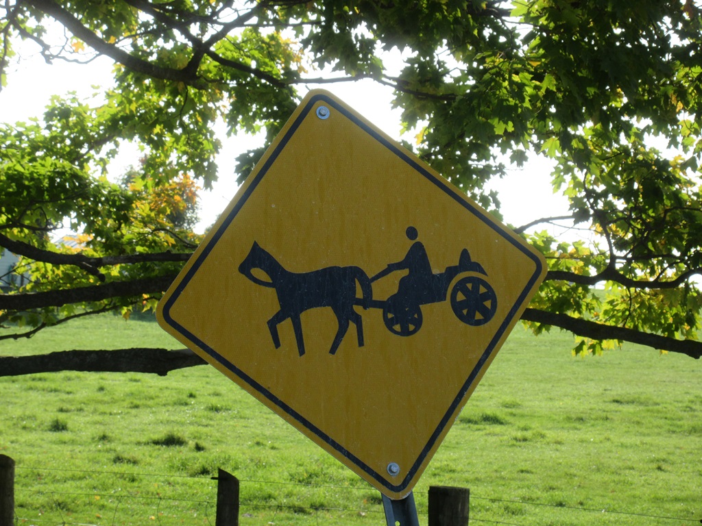 Mennonite Sign