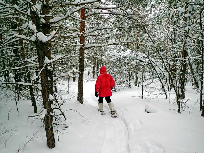 Winter Fun - Snowshoeing in the Durham Forest