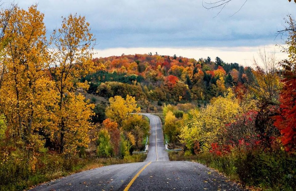 Northumberland near Campbellford - Autumn Routes 
