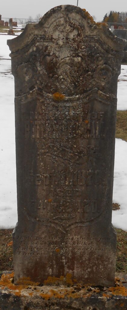 Peter McDougall Pioneer Cemetery in Grey Township