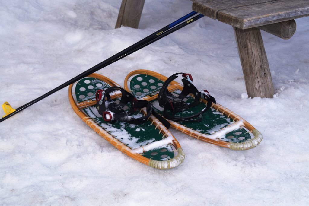 Snowshoeing Anyone?