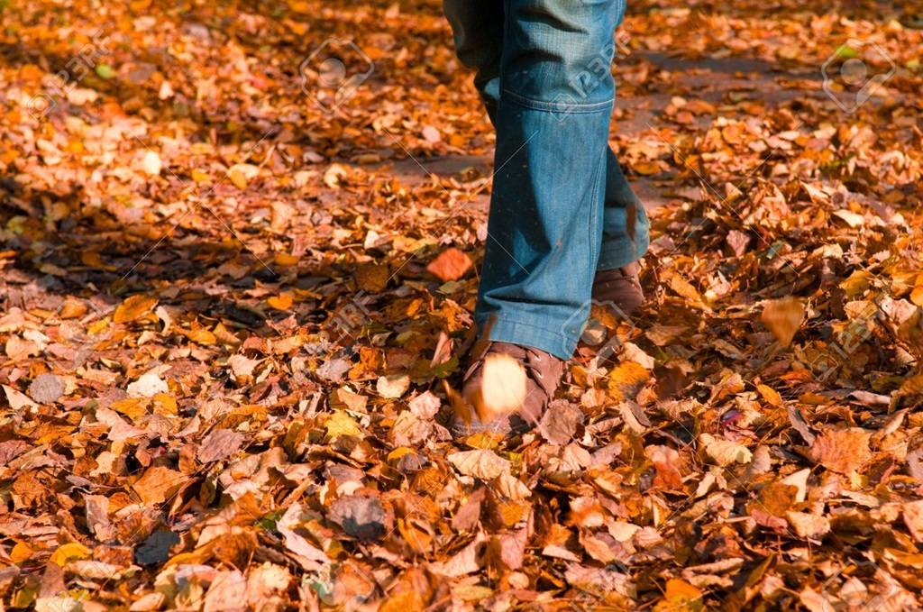 Walking Through the Leaves