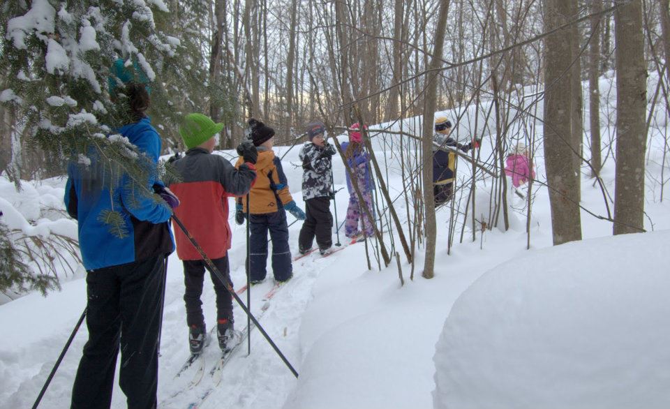 Cross Country Skiing