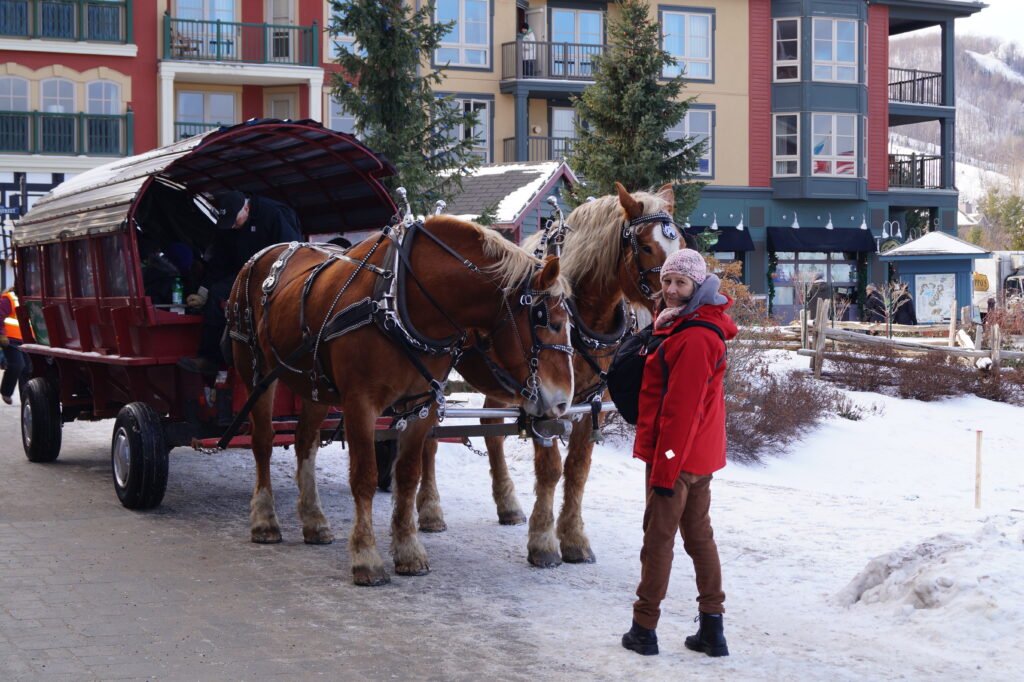 Making New Friends - Family Day Weekend