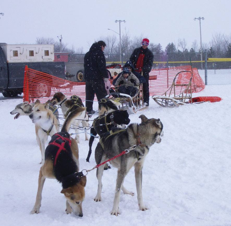 Winter Fun - Cannington Dog Sled Races