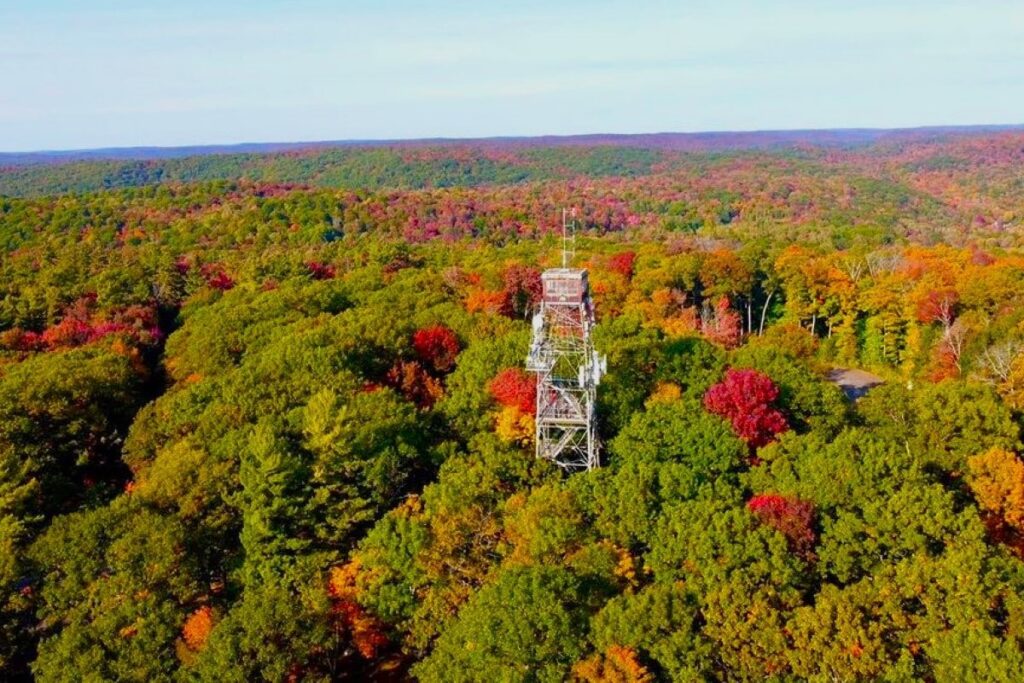 Dorset Scenic Lookout Tower - Summer Life in Muskoka