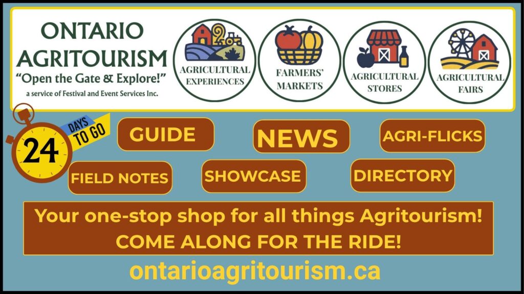 A Lot to Look At - Looking Forward