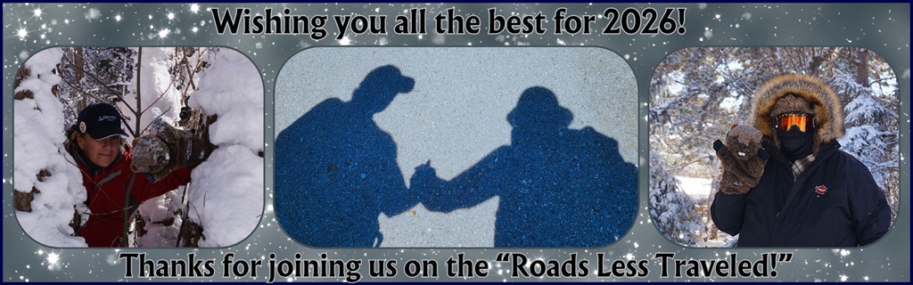 Merry Christmas and Happy Holidays