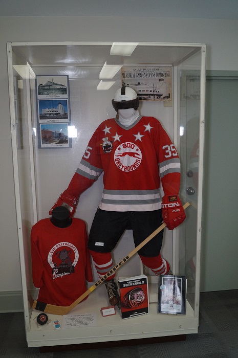 Hockey on display